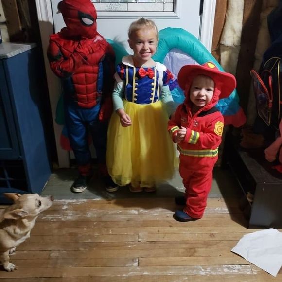 Meet your Posher, Shannon - Picture 1 of 1